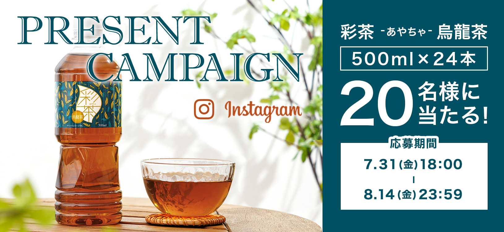 【Instagram】フォロー＆いいねで彩茶 -あやちゃ- 烏龍茶 プレゼントキャンペーン
