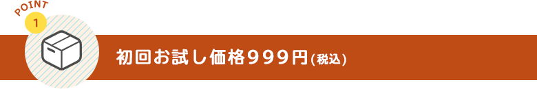 初回お試し価格999円(税込)