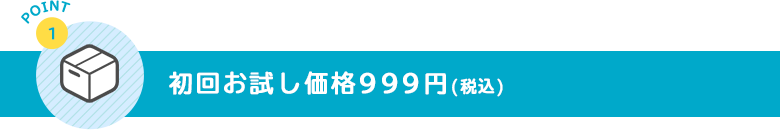 初回お試し価格999円(税込)