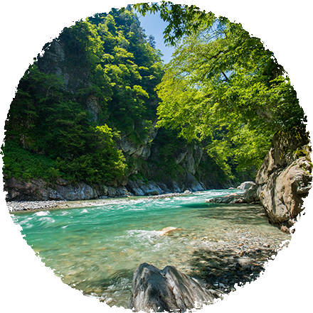 黒部の川