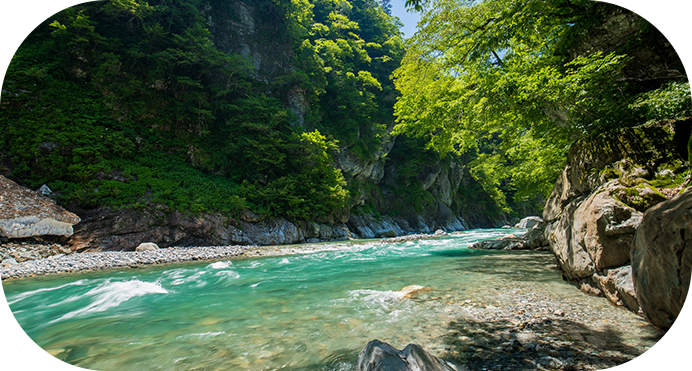 黒部の川