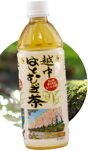 越中はとむぎ茶