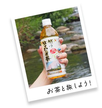 お茶と旅しよう！