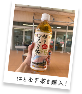 はとむぎ茶を購入！