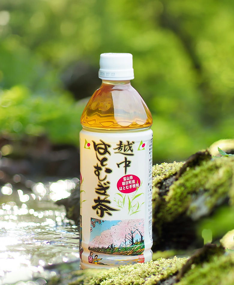 越中はとむぎ茶