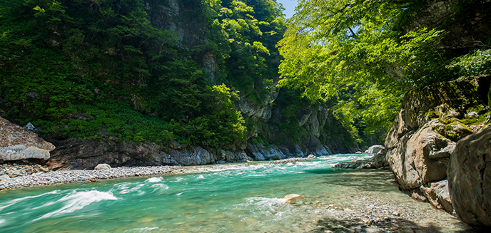 黒部の水