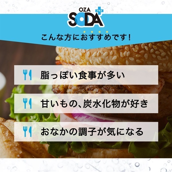 お得定期便 炭酸水「OZA SODA プラス」500ml×24本 機能性表示食品の