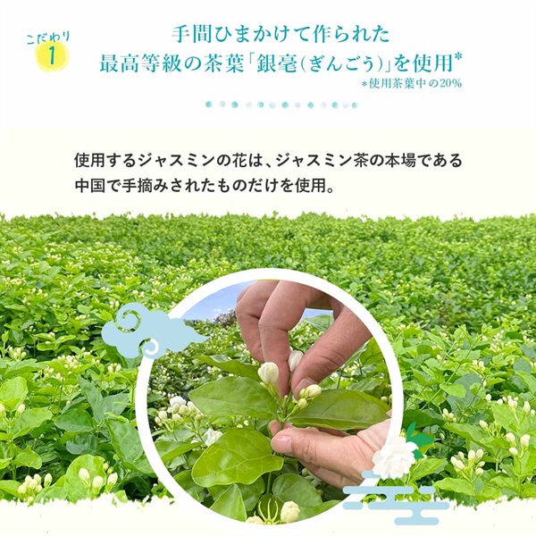定期便 お茶・ジャスミン茶(500ml 24本セット)「彩茶」の通販商品