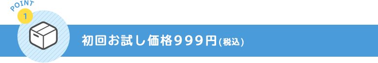 初回お試し価格999円(税込)
