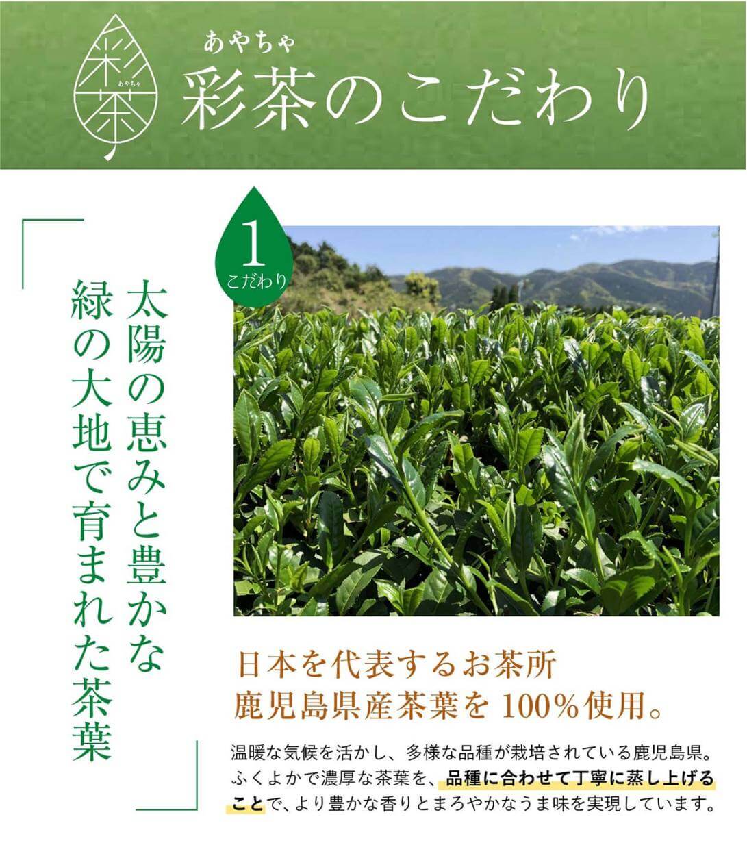 緑茶 彩茶のこだわり①「太陽の恵みと豊かな緑の大地で育まれた茶葉」日本を代表するお茶所 鹿児島県産茶葉を 100% 使用。温暖な気候を活かし、多様な品種が栽培されている鹿児島県。ふくよかで濃厚な茶葉を、品種に合わせて丁寧に蒸し上げることで、より豊かな香りとまろやかなうま味を実現し
ています。
