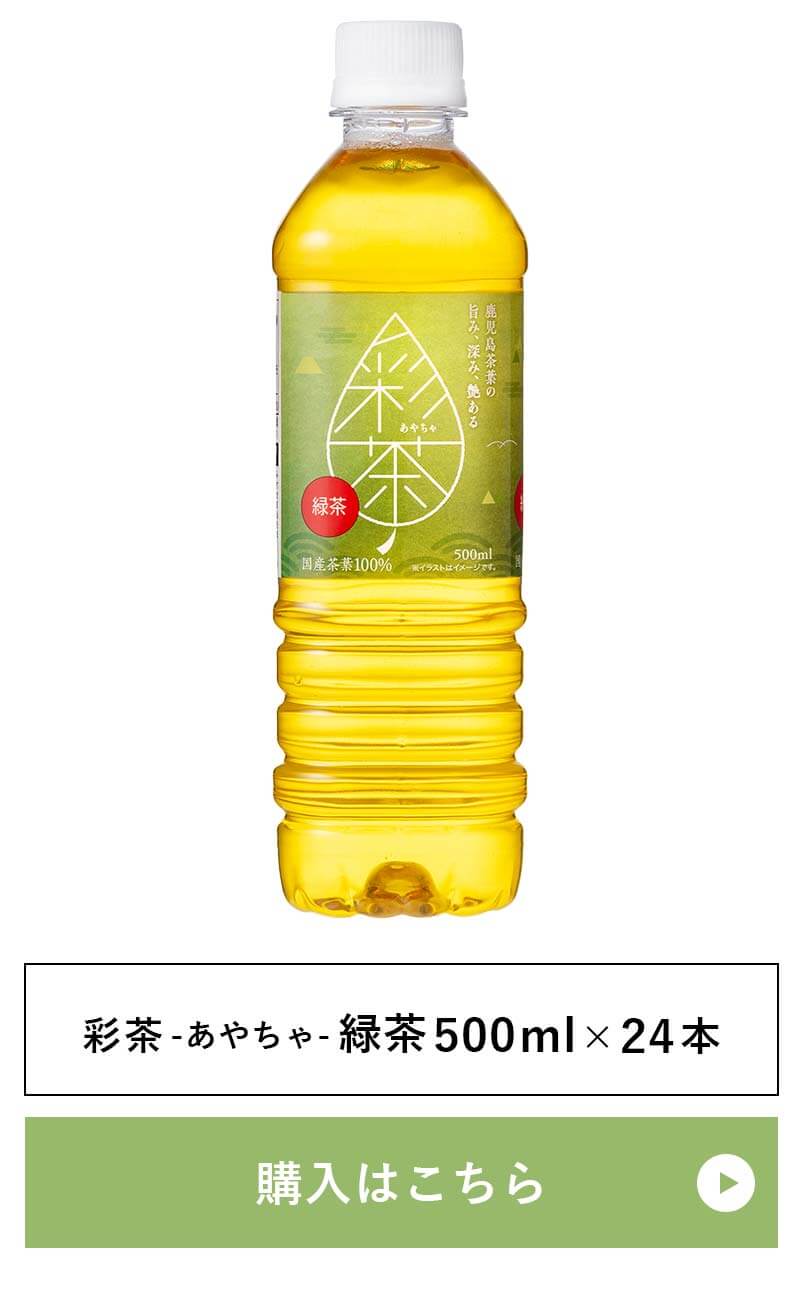 緑茶 彩茶500mlペットボトル