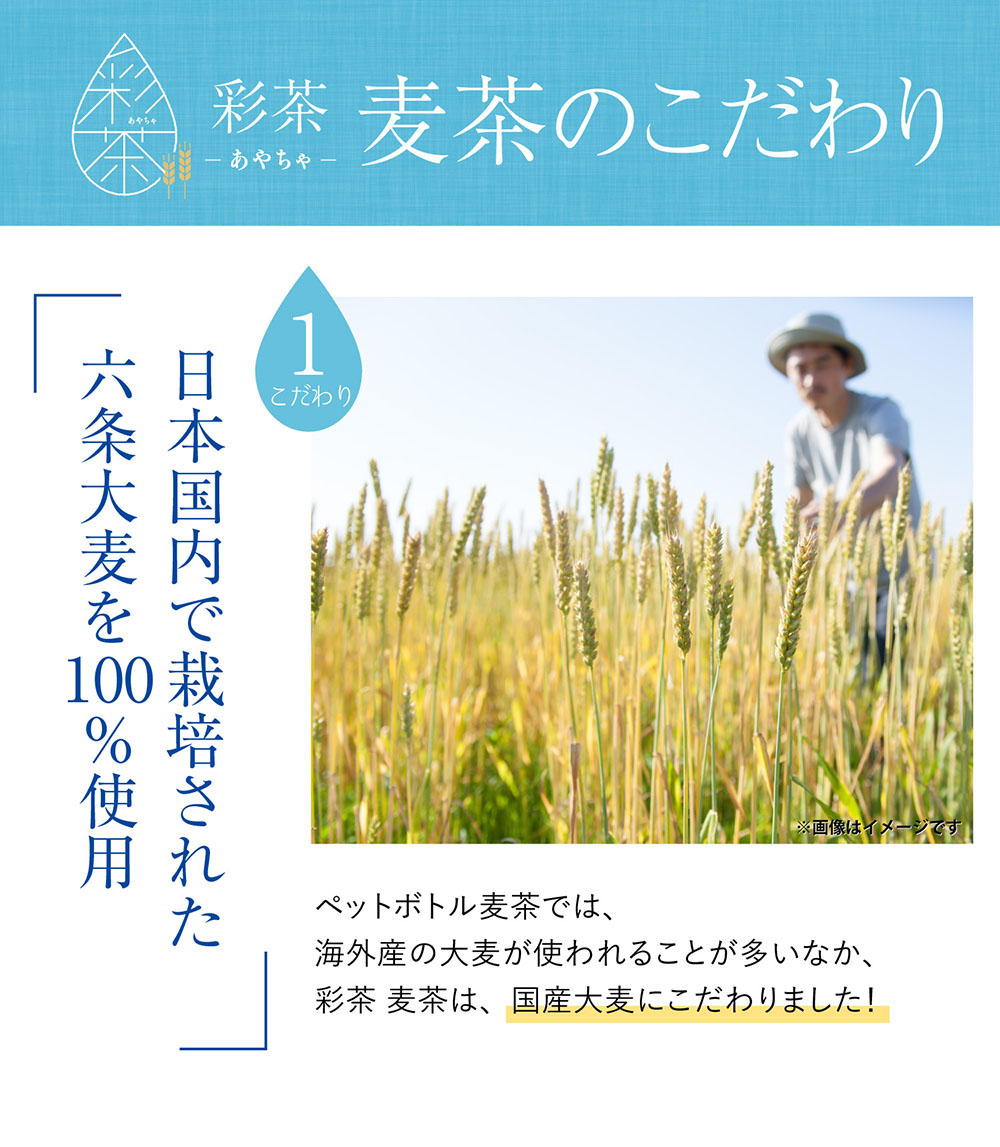 麦茶 彩茶のこだわり①日本国内で栽培された六条大麦を100％使用。ペットボトルでは希少な国産100％麦茶！