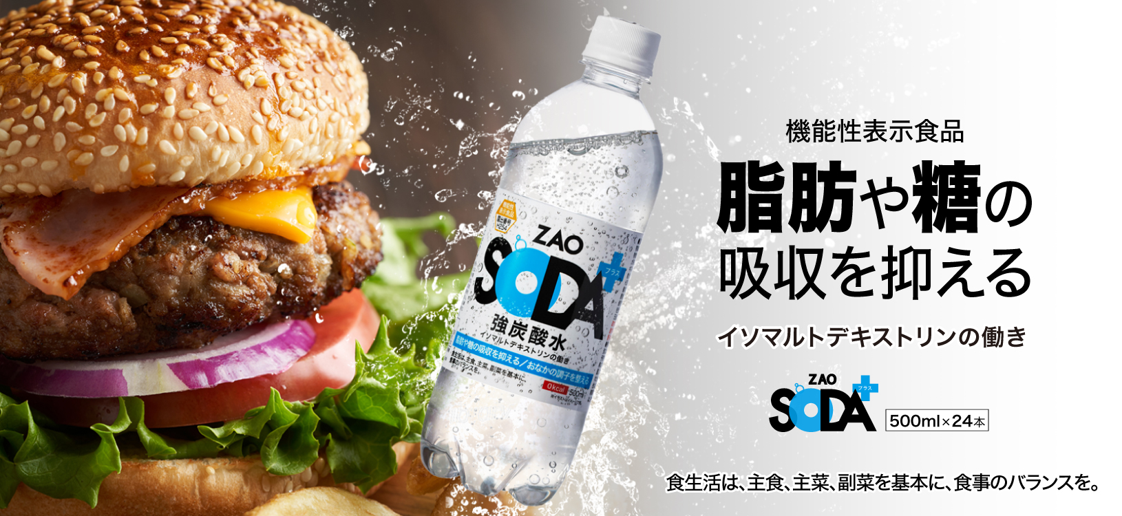 機能性表示食品 脂肪や糖の吸収を抑えるイソマルトデキストリンの働き ZAO SODAプラス500ml×24本